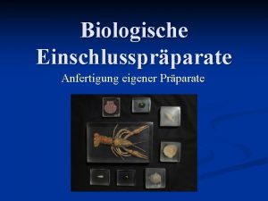 Biologische Einschlussprparate Anfertigung eigener Prparate Bentigte Arbeitsmaterialien Prparat