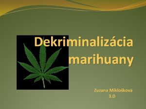 Dekriminalizcia marihuany Zuzana Miklokov 3 D o je
