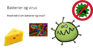 Bakterier og virus Hvad ved vi om bakterier