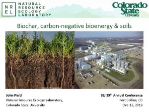 Biochar carbonnegative bioenergy soils John Field Natural Resource