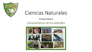 Ciencias Naturales Primero bsico Caractersticas de los animales