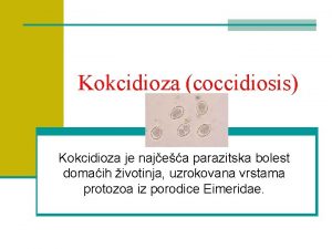 Kokcidioza coccidiosis Kokcidioza je najea parazitska bolest domaih