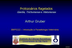Protozorios flagelados Giardia Trichomonas e Histomonas Arthur Gruber