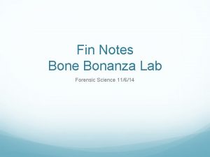 Fin Notes Bone Bonanza Lab Forensic Science 11614