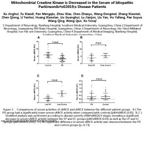 Mitochondrial Creatine Kinase is Decreased in the Serum