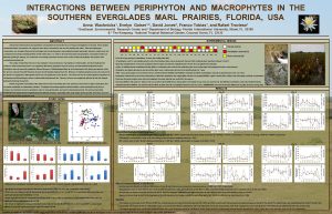 INTERACTIONS BETWEEN PERIPHYTON AND MACROPHYTES IN THE SOUTHERN
