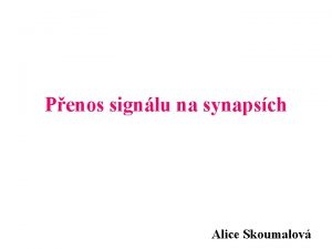 Penos signlu na synapsch Alice Skoumalov Neurotrasmitery x