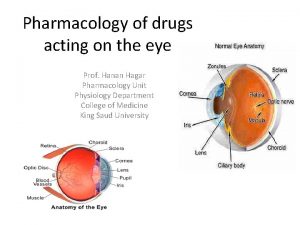 Pharmacology of drugs acting on the eye Prof