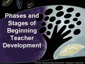 Phases and Stages of Beginning Teacher Development Lifes