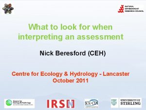 What to look for when interpreting an assessment