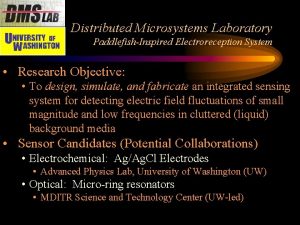Distributed Microsystems Laboratory PaddlefishInspired Electroreception System Research Objective