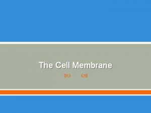 The Cell Membrane The Cell Membrane Aka Plasma