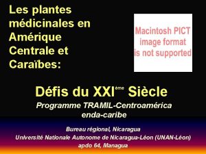 Les plantes mdicinales en Amrique Centrale et Carabes