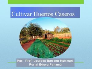 Cultivar Huertos Caseros Por Prof Lourdes Barreno Huffman