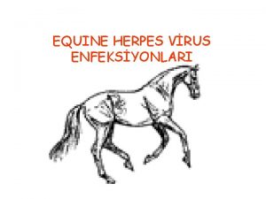 EQUINE HERPES VRUS ENFEKSYONLARI TARHE 1932 ylnda abort