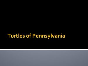 Turtles of Pennsylvania Overview Easily identified by their