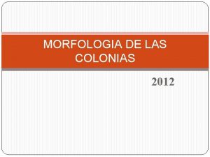 MORFOLOGIA DE LAS COLONIAS 2012 Morfologa de la