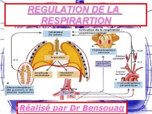 REGULATION DE LA RESPIRARTION Ralis par Dr Bensouag