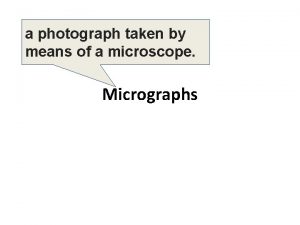 a photograph taken by means of a microscope