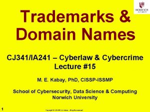 Trademarks Domain Names CJ 341IA 241 Cyberlaw Cybercrime