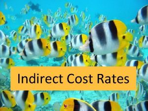 Indirect Cost Rates 1 A Brief Introduction Indirect