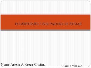 Ecosistemul unei paduri de stejar