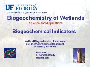 Institute of Food and Agricultural Sciences IFAS Biogeochemistry