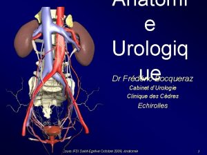 Anatomi e Urologiq ue Dr Frdric Bocqueraz Cabinet