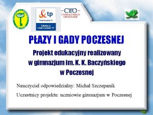 PAZY I GADY POCZESNEJ Projekt edukacyjny realizowany w