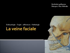 Berthelot guillaume MarquezDiaz Mlodie Embryologie Trajet affrences Pathologie