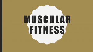 MUSCULAR FITNESS REVIEW TERMS Muscular Strength the ability