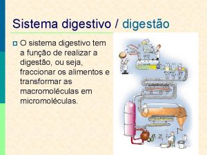 Sistema digestivo digesto p O sistema digestivo tem