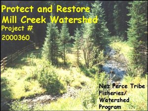 Protect and Restore Mill Creek Watershed Project 2000360