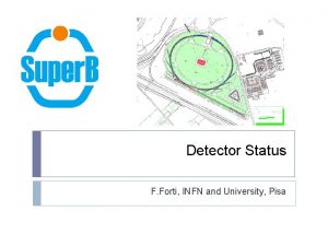 Detector Status F Forti INFN and University Pisa