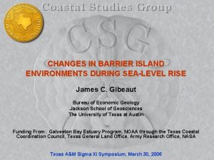 CHANGES IN BARRIER ISLAND ENVIRONMENTS DURING SEALEVEL RISE