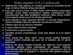 Homo ergaster 1 9 1 5 milyon yl