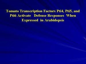 Tomato Transcription Factors Pti 4 Pti 5 and