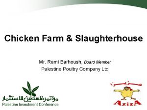 Chicken Farm Slaughterhouse Mr Rami Barhoush Board Member