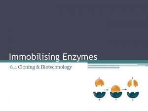 Immobilising Enzymes 6 4 Cloning Biotechnology Learning Objectives