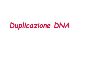 Duplicazione DNA Cellule che si dividono rapidamente 20