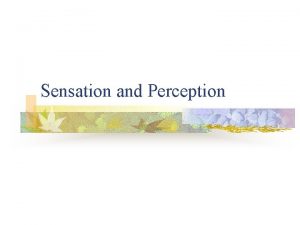 Sensation and Perception Defining Sensation and Perception n