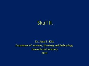 Skull II Dr Anna L Kiss Department of