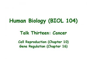 Human Biology BIOL 104 Talk Thirteen Cancer Cell