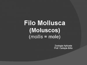 Filo Mollusca Moluscos mollis mole Zoologia Aplicada Prof