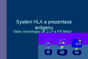 Systm HLA a prezentace antigenu stav imunologie UK