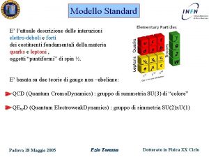 Modello Standard E lattuale descrizione delle interazioni elettrodeboli