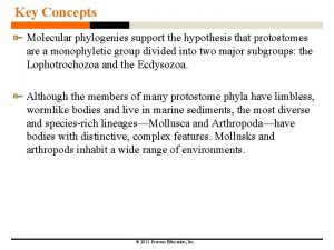 Key Concepts Molecular phylogenies support the hypothesis that
