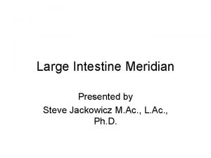 Large Intestine Meridian Presented by Steve Jackowicz M
