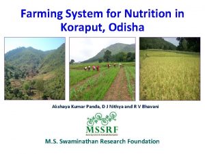 Farming System for Nutrition in Koraput Odisha Akshaya