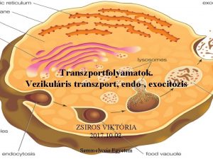 Transzportfolyamatok Vezikulris transzport endo exocitzis ZSIROS VIKTRIA 2017